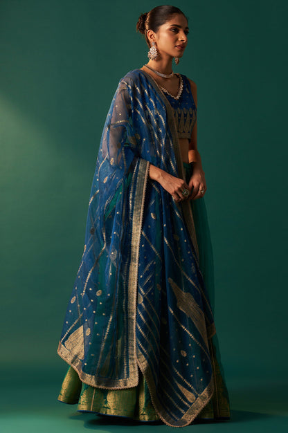 Blue Zari Embroidered Jacquard Blouse with Parrot Green Lehenga and Dupatta Set
